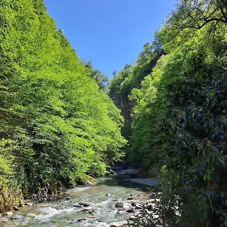 Au Coin Des Thermes - Draps En Option Apartment *
